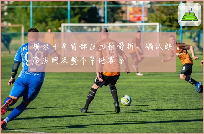 胡尔卡奇背部应力性骨折，确认缺席法网及整个草地赛季