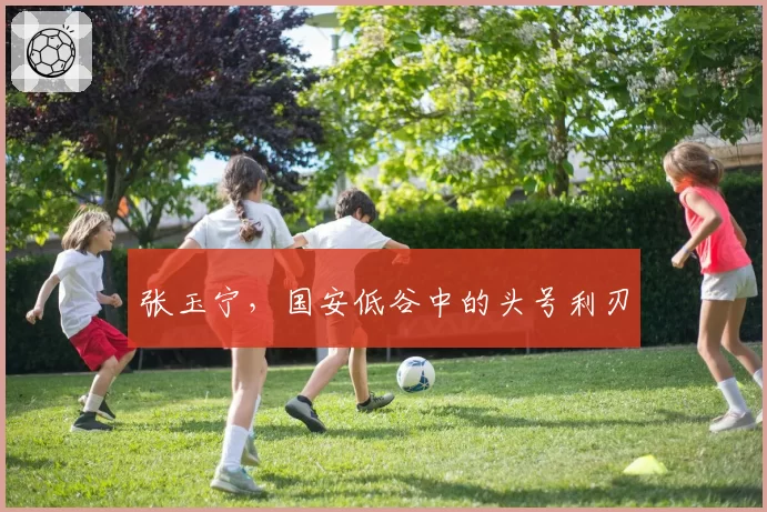 张玉宁,国安低谷中的头号利刃