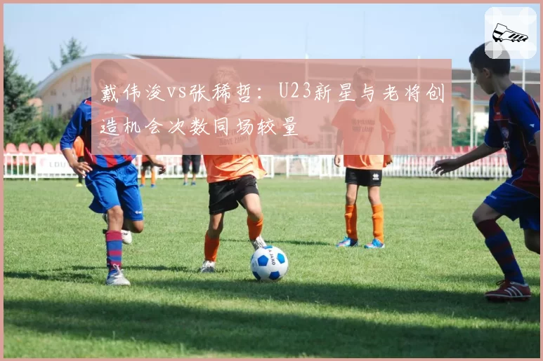 戴伟浚vs张稀哲：U23新星与老将创造机会次数同场较量